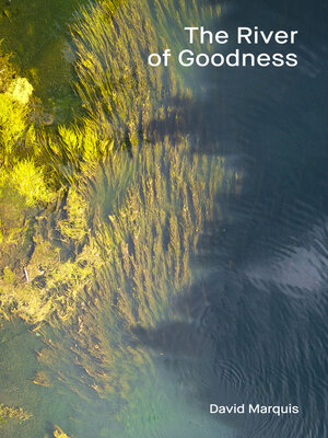 cover image of The River of Goodness